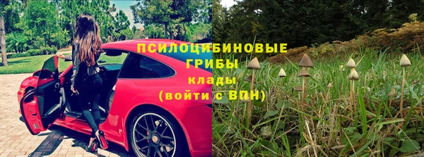 тгк Алексин