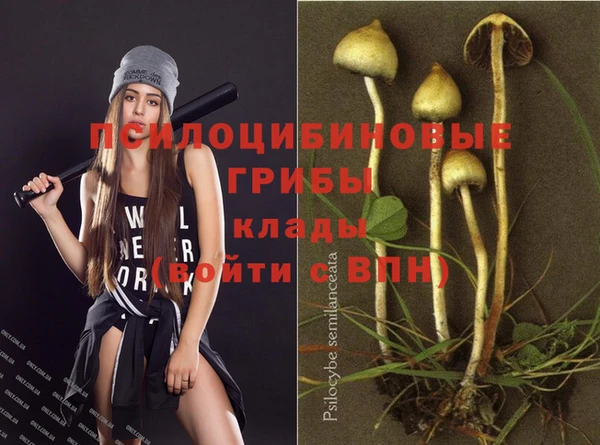 прущие грибы Алексеевка