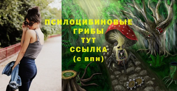 прущие грибы Алексеевка