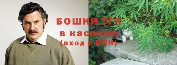 шишки Елизово